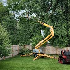 Best Tree Maintenance Programs  in Berlin, NJ